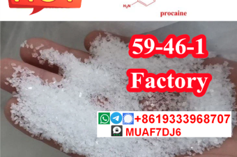 Procaine Hydrochloride hcl Procaine Base CAS59461  51058